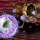 Illustration for article titled Nanotechnology Wants To Replace Your Medical Memory